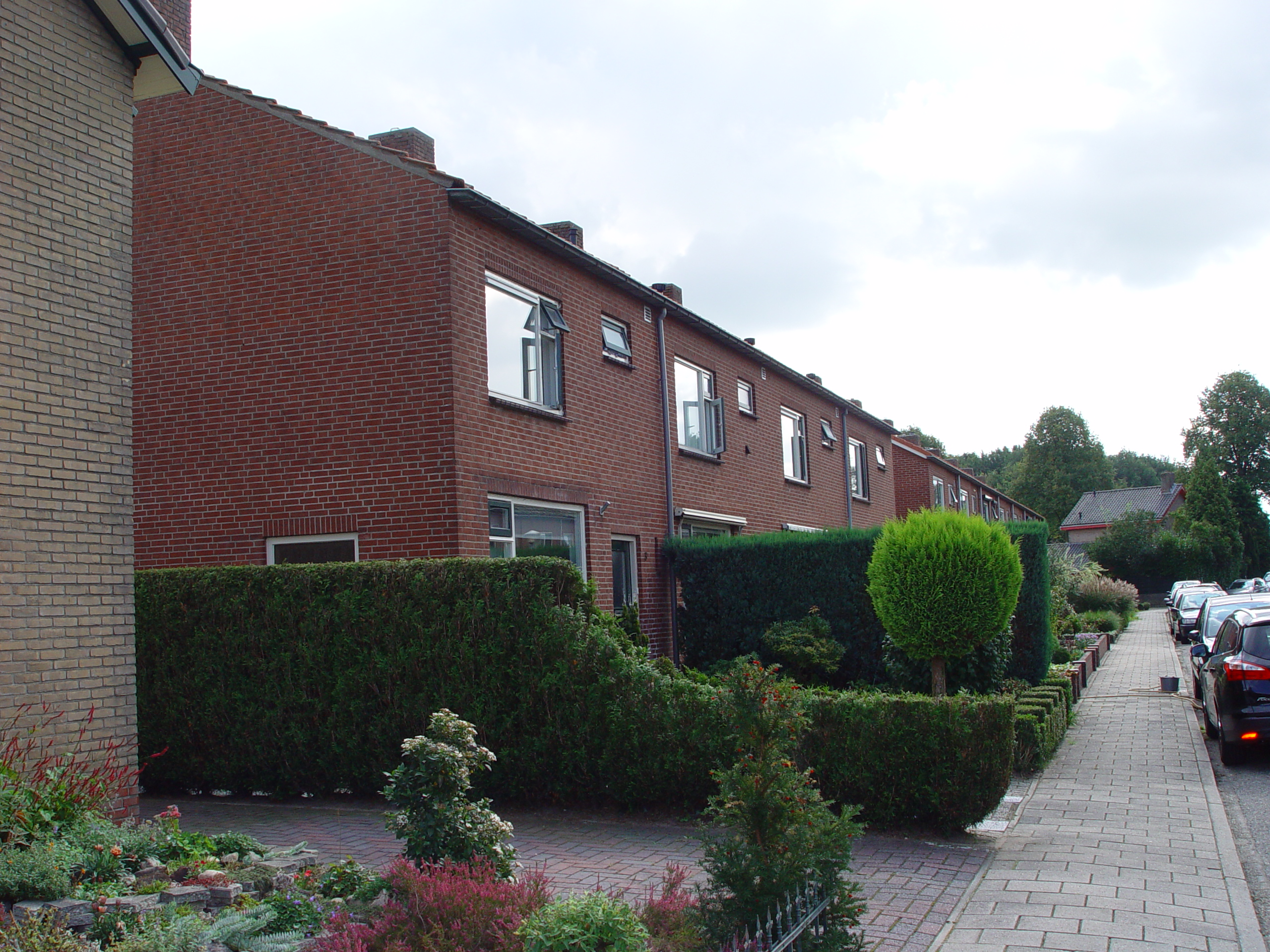 Renovatie 41 woningen Bergh